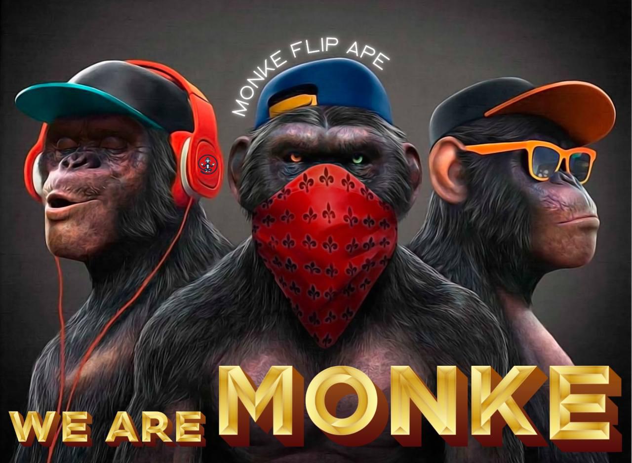 Monkey Swag Wallpapers