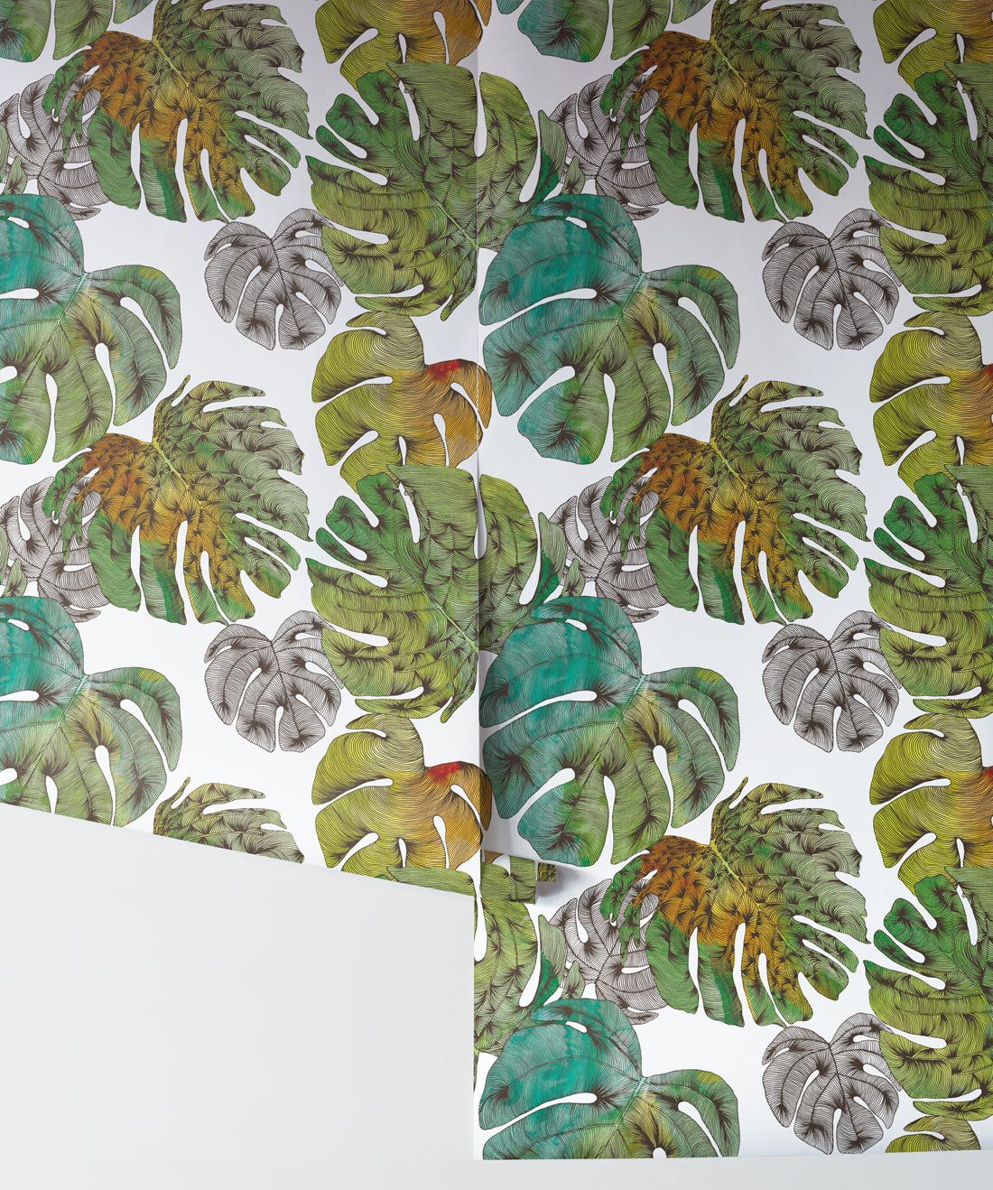 Monstera Wallpapers