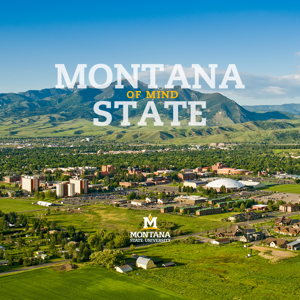 Montana Wallpapers