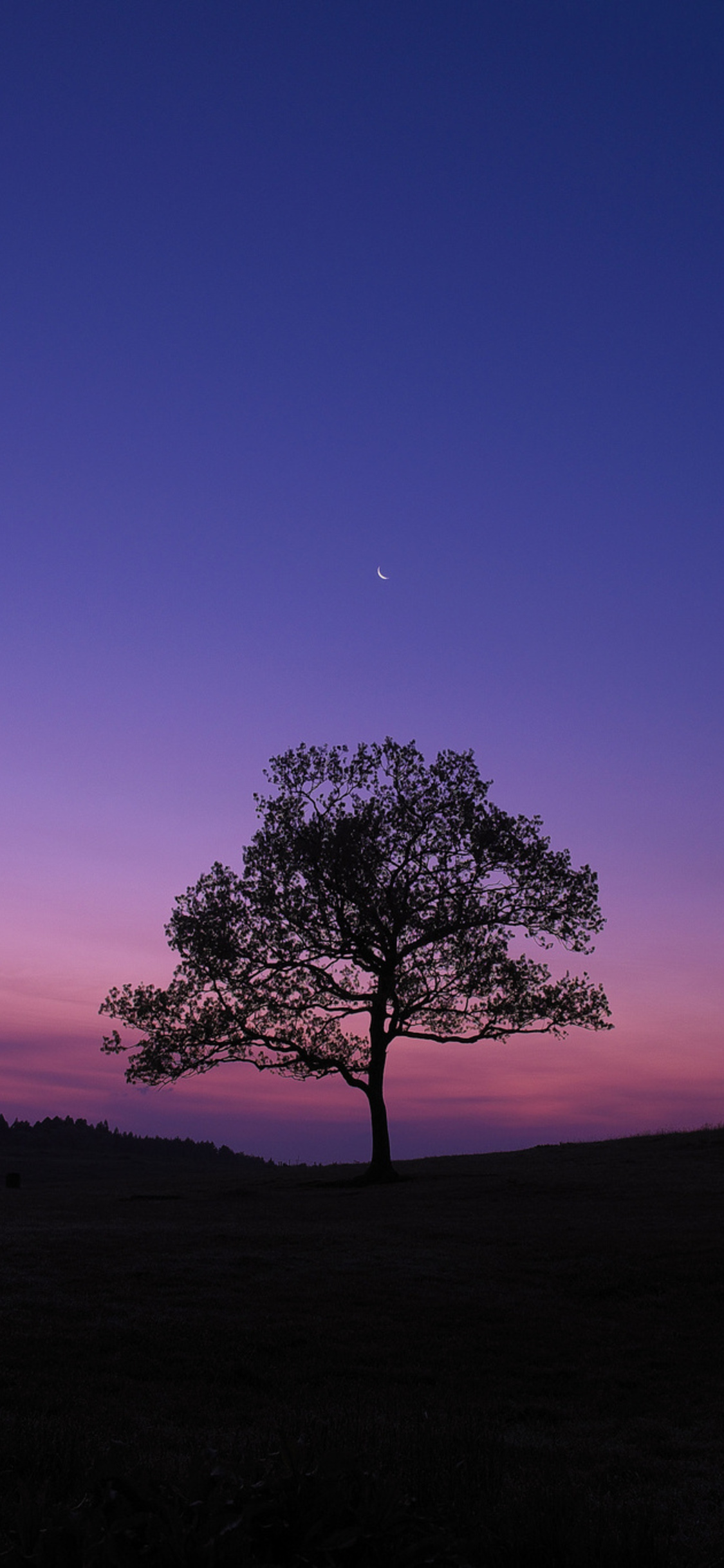 Moon Purple Sky Wallpapers