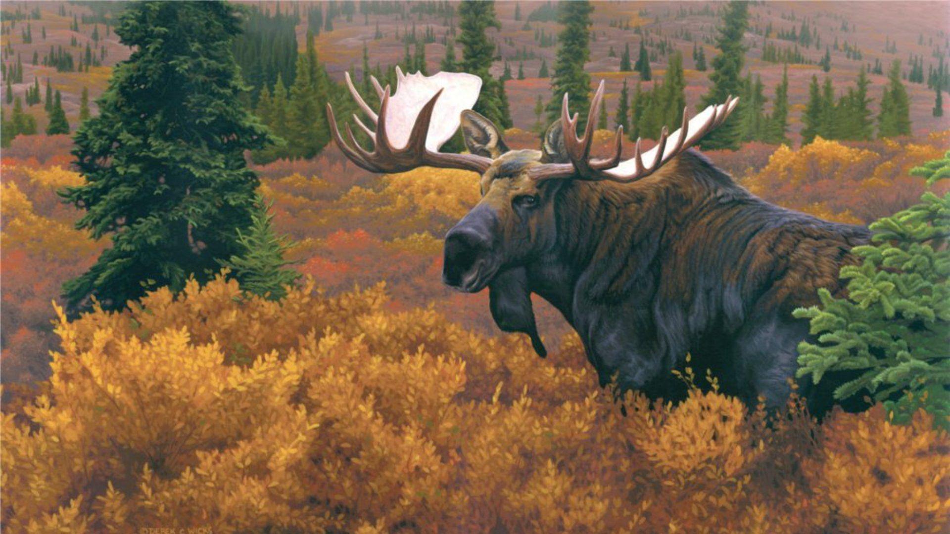 Moose Iphone Wallpapers