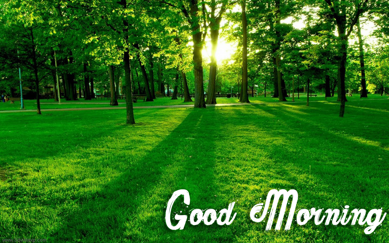 Morning Nature Images Wallpapers