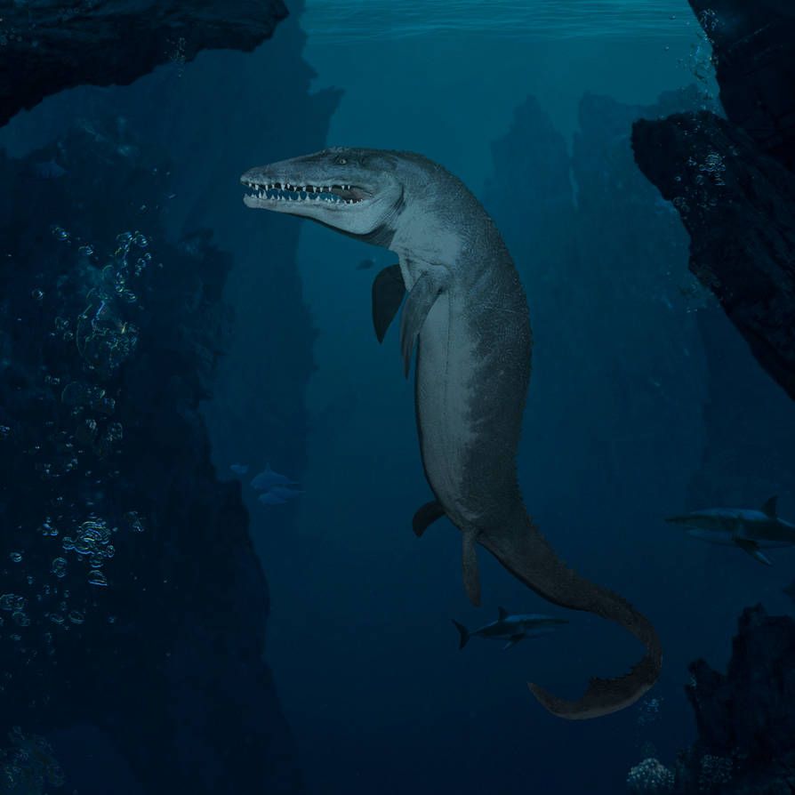 Mosasaurus Wallpapers