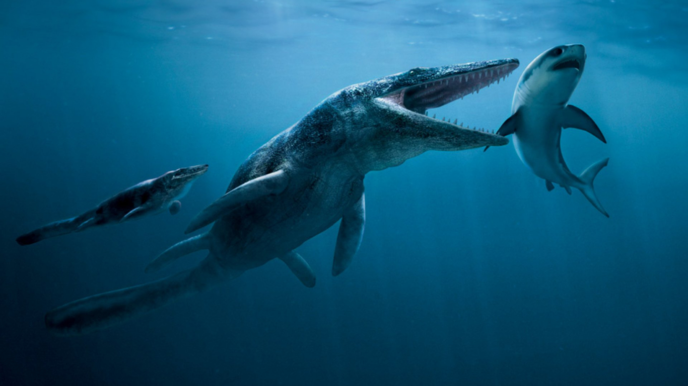 Mosasaurus Wallpapers