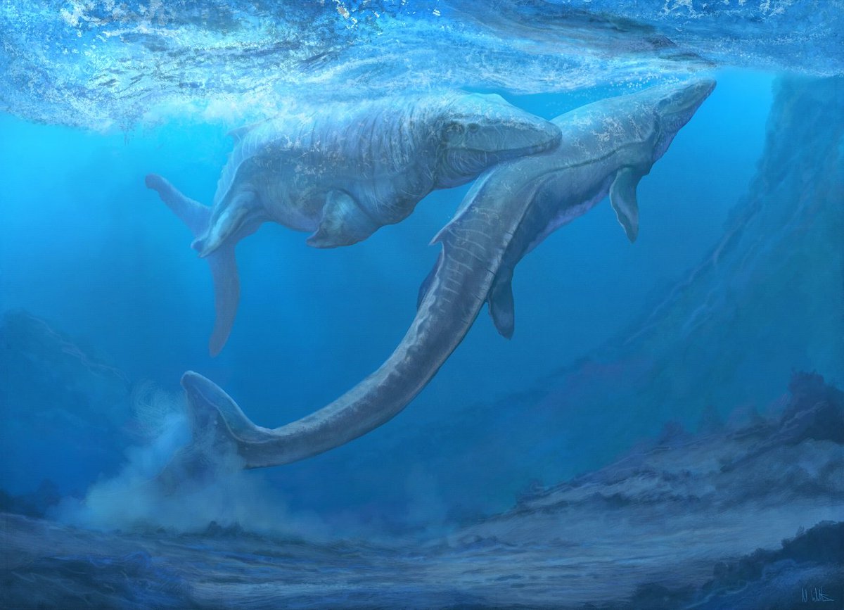 Mosasaurus Wallpapers