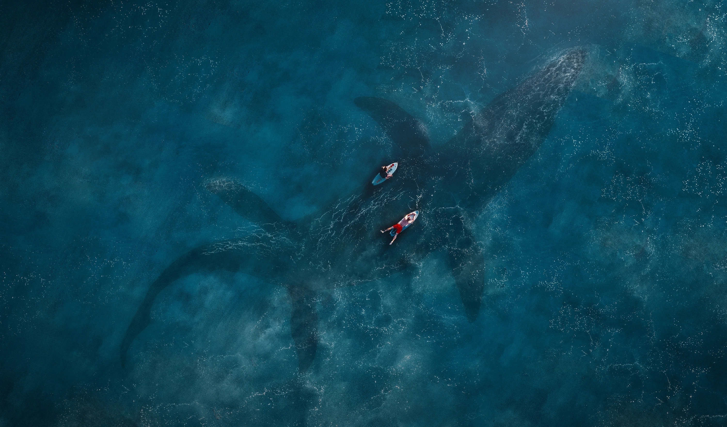 Mosasaurus Wallpapers