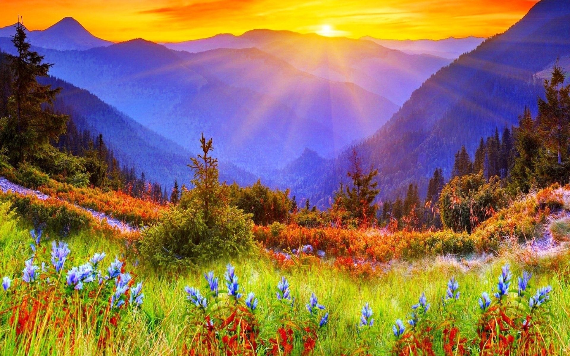 Mountain And Sun Wallpapers