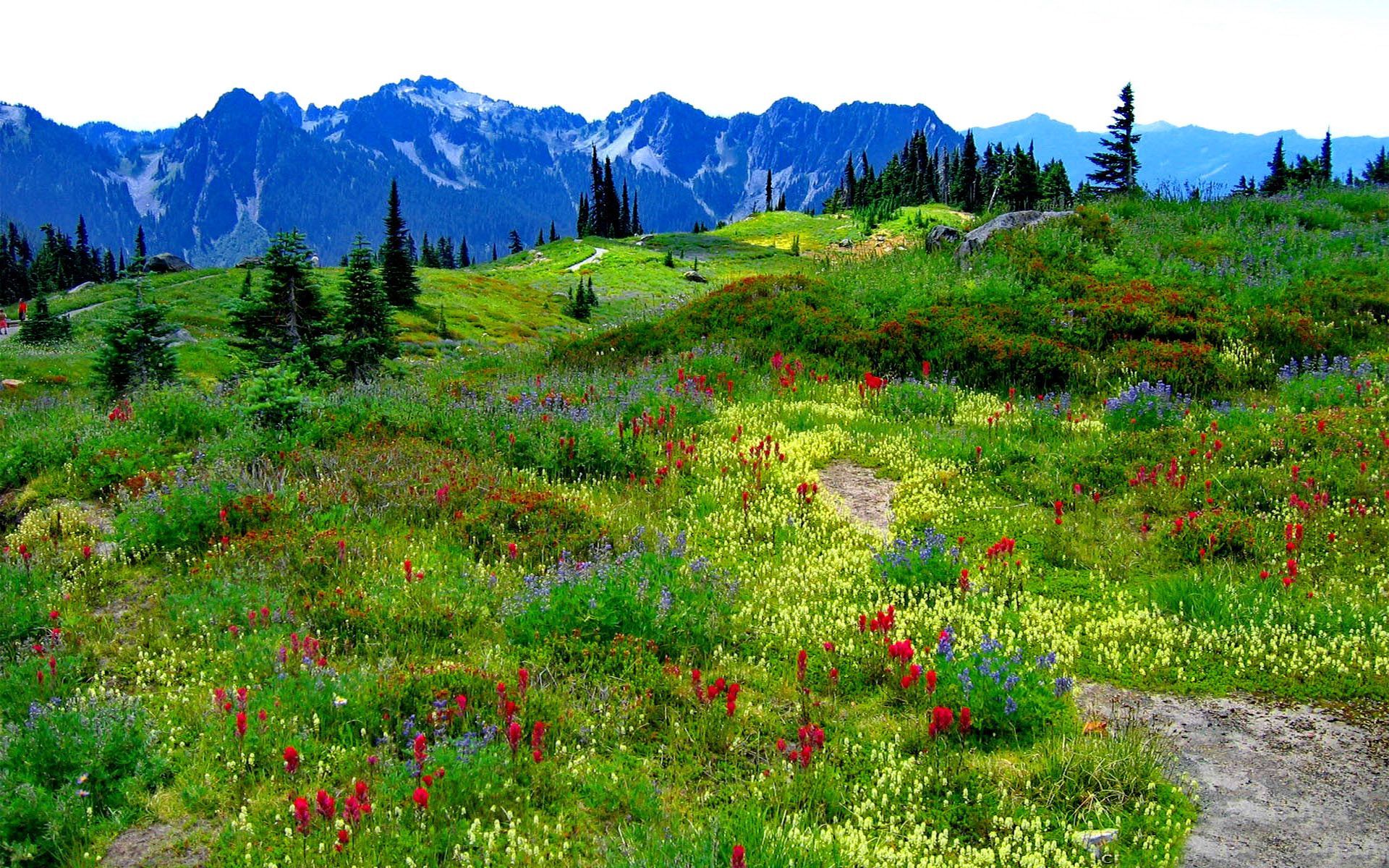 Mountain Garden Wallpapers