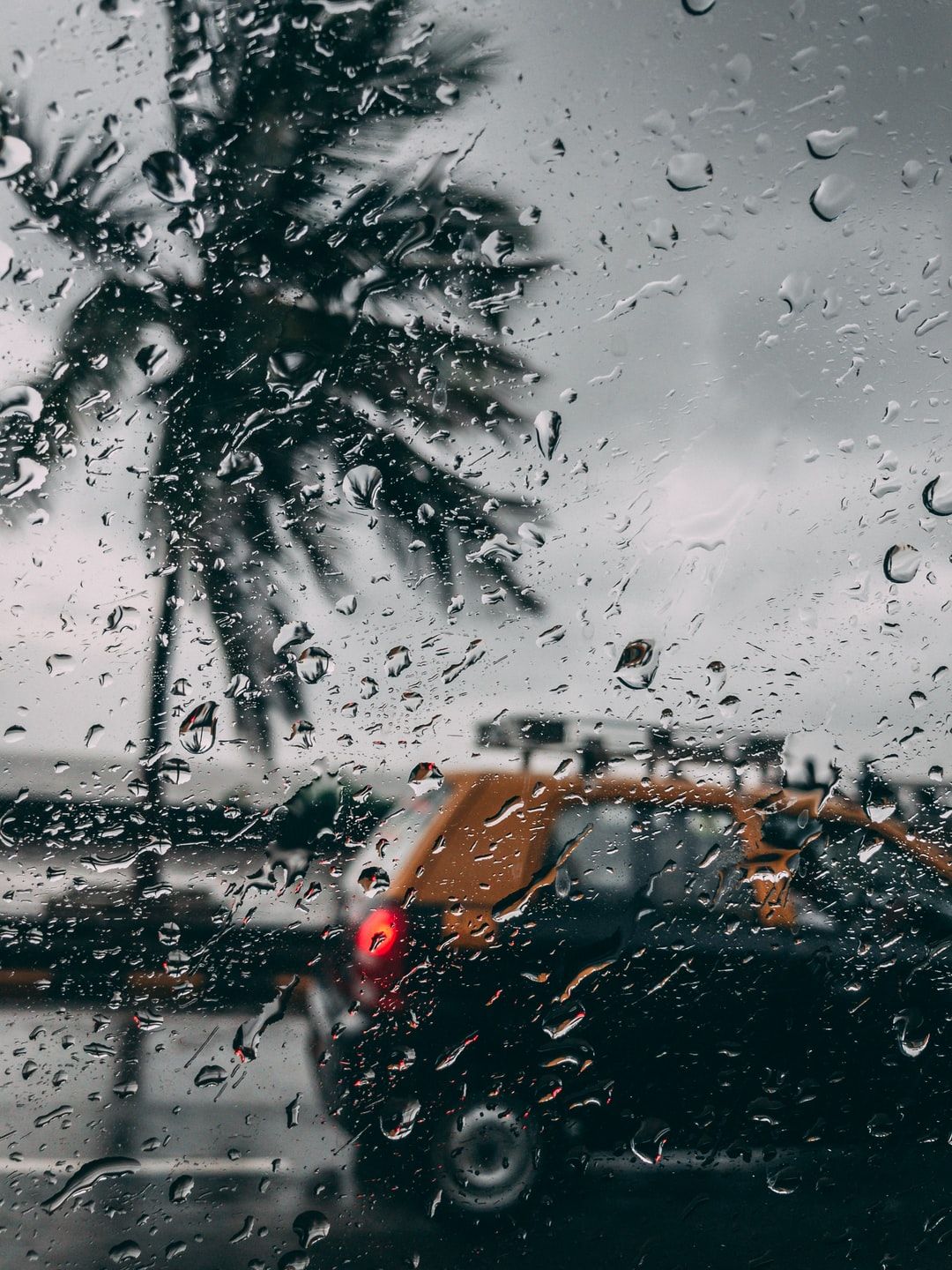 Moving Rain Wallpapers