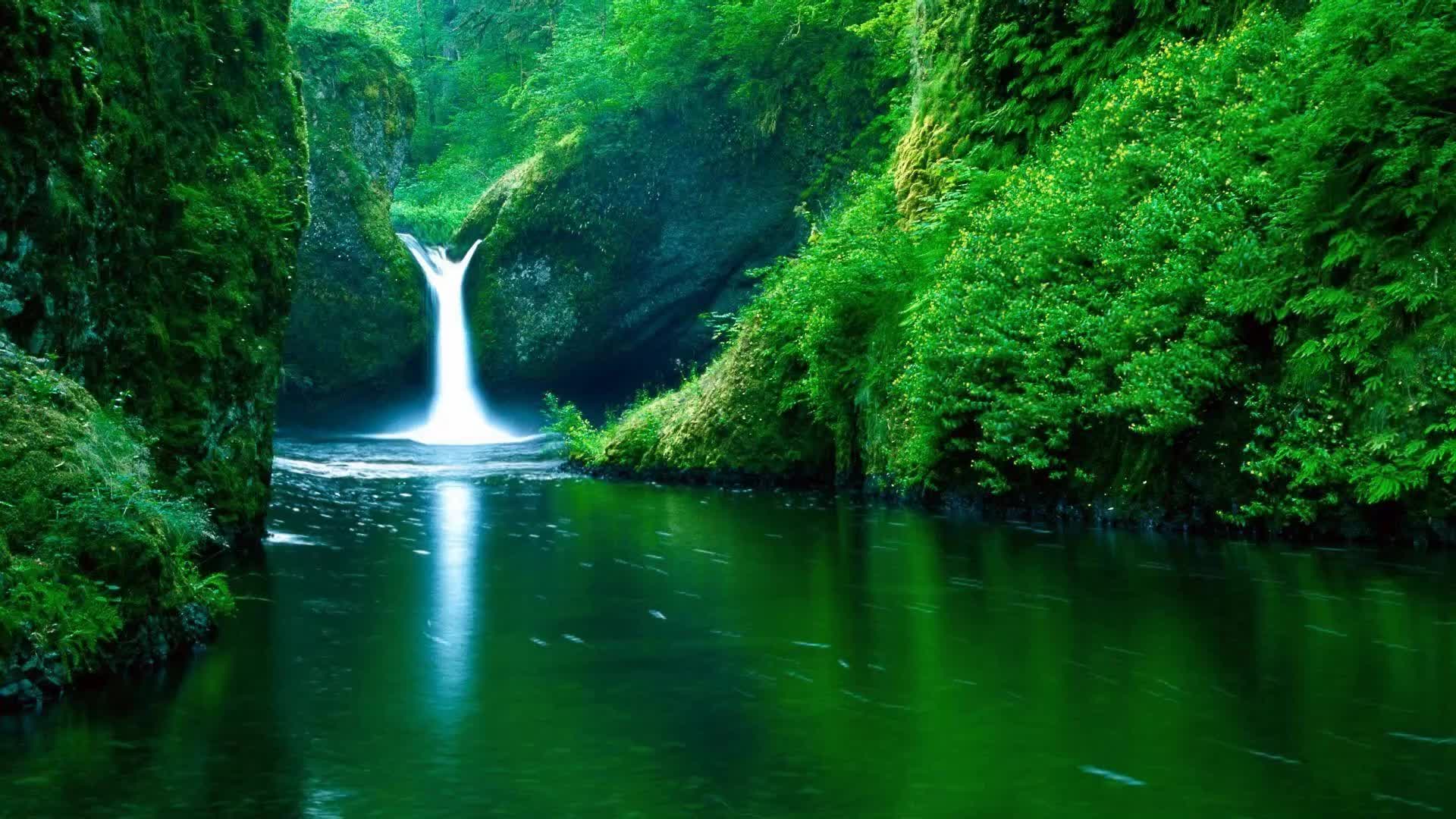 Moving Nature Wallpapers