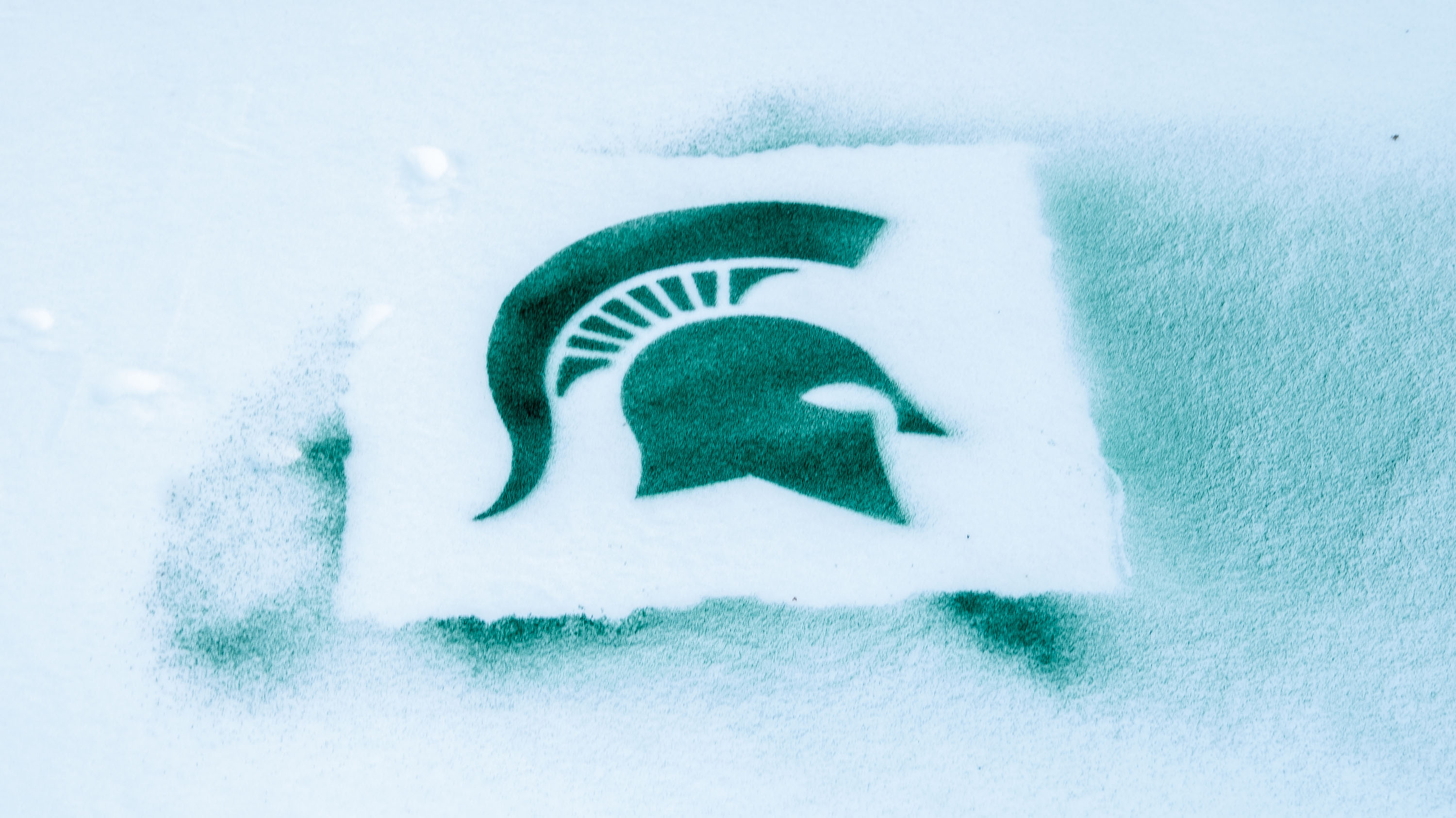 Msu Wallpapers