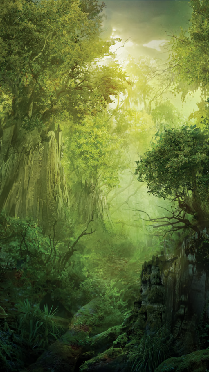 Mtg Forest Wallpapers