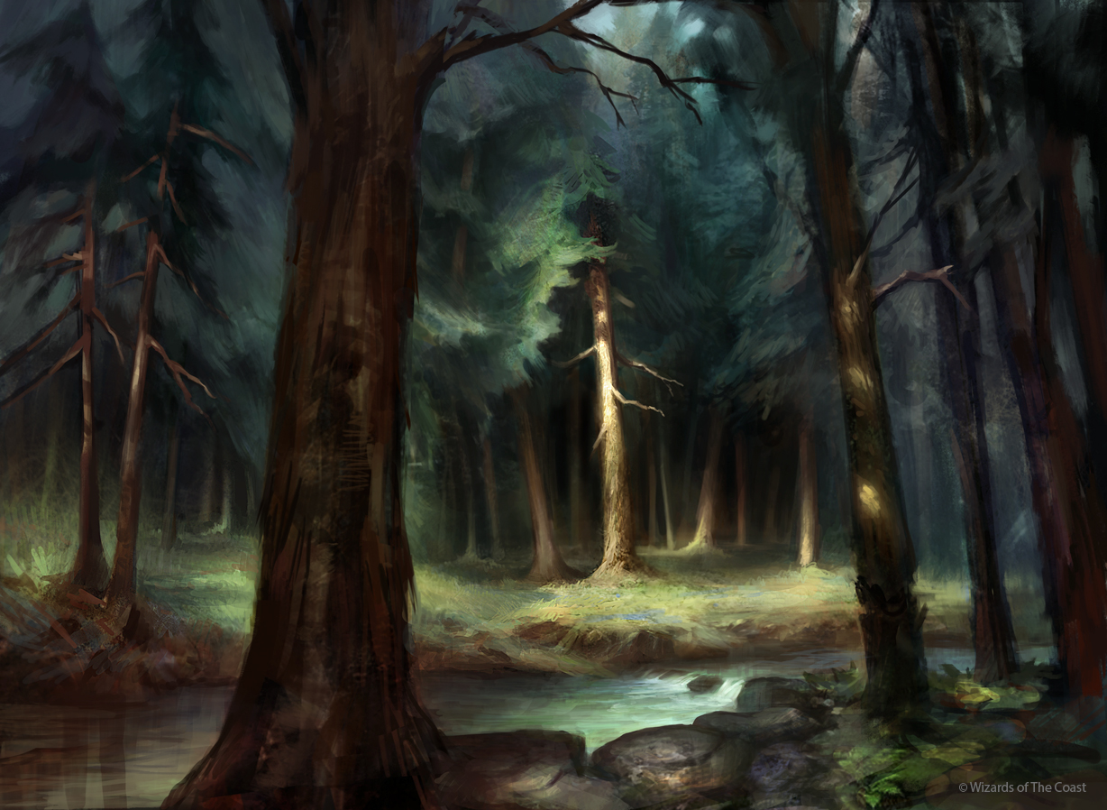 Mtg Forest Wallpapers