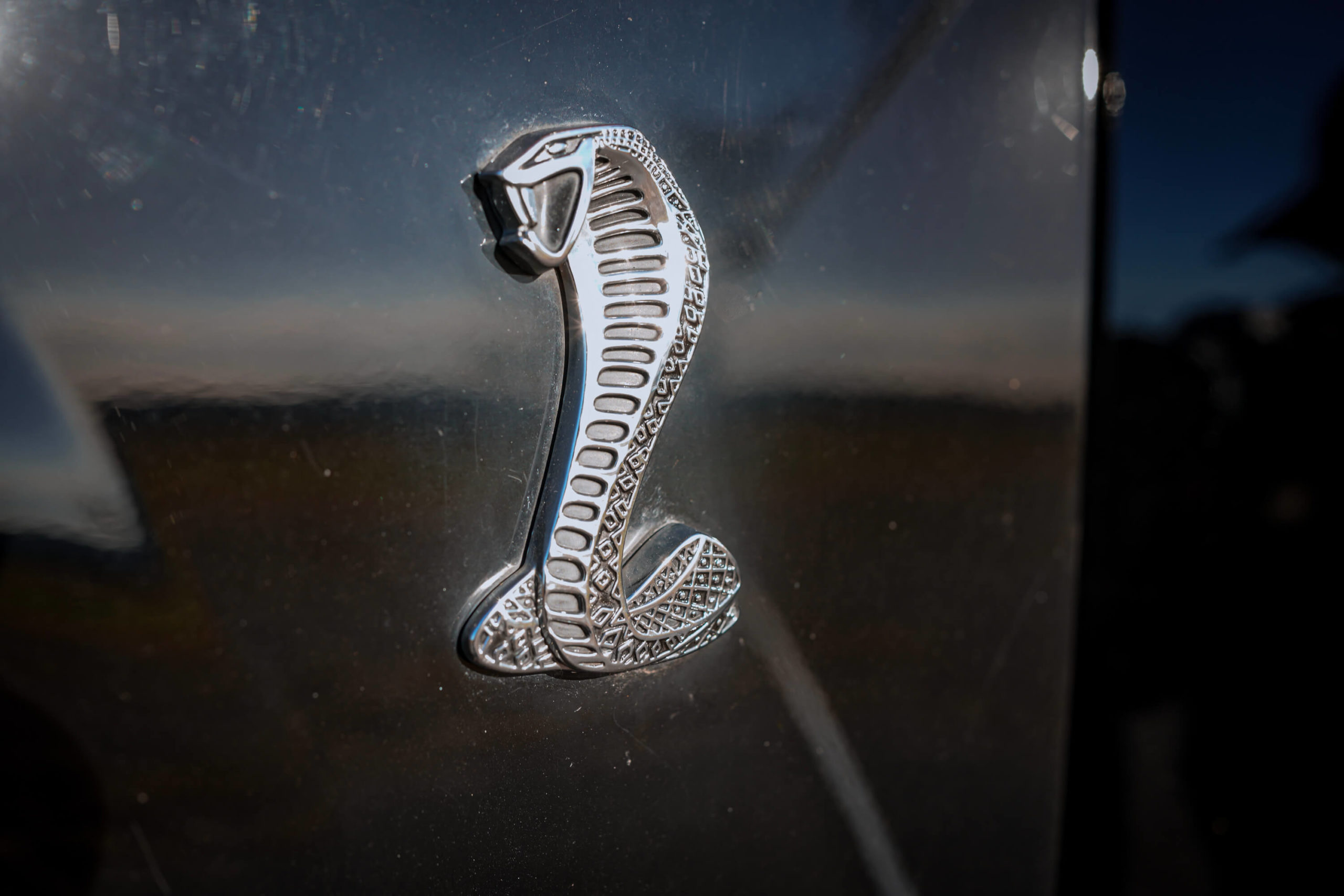 Mustang Cobra Logo Wallpapers