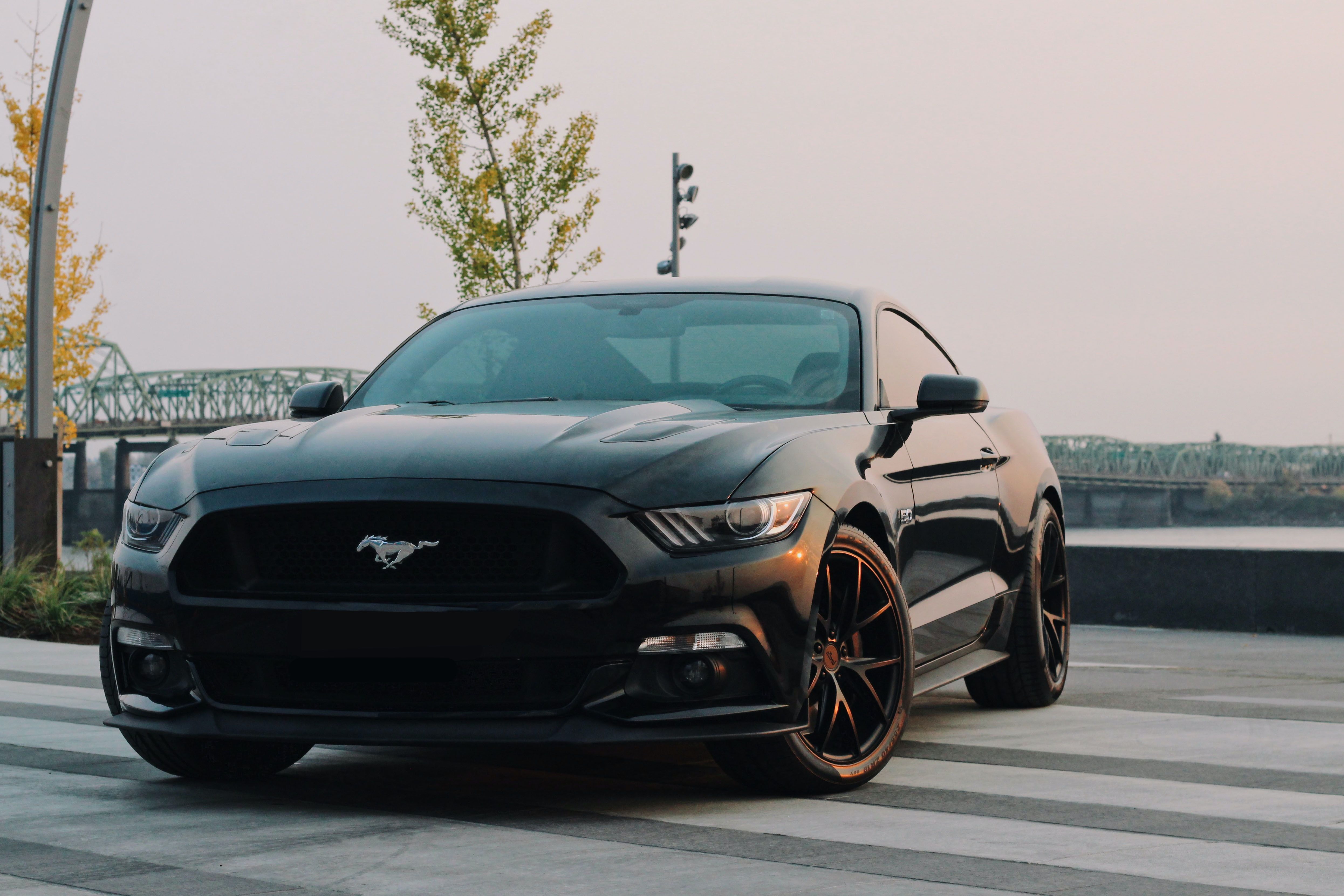 Mustang Desktop Wallpapers