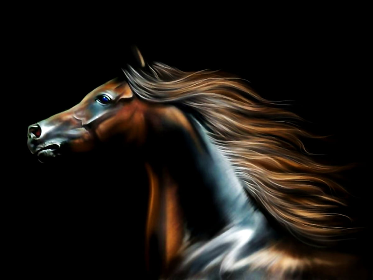 Mustang Horse Wallpapers