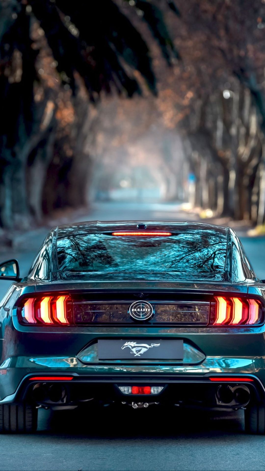 Mustang Wallpapers