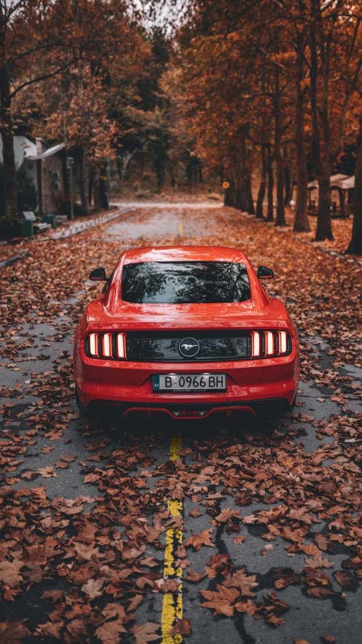 Mustang Iphone Wallpapers