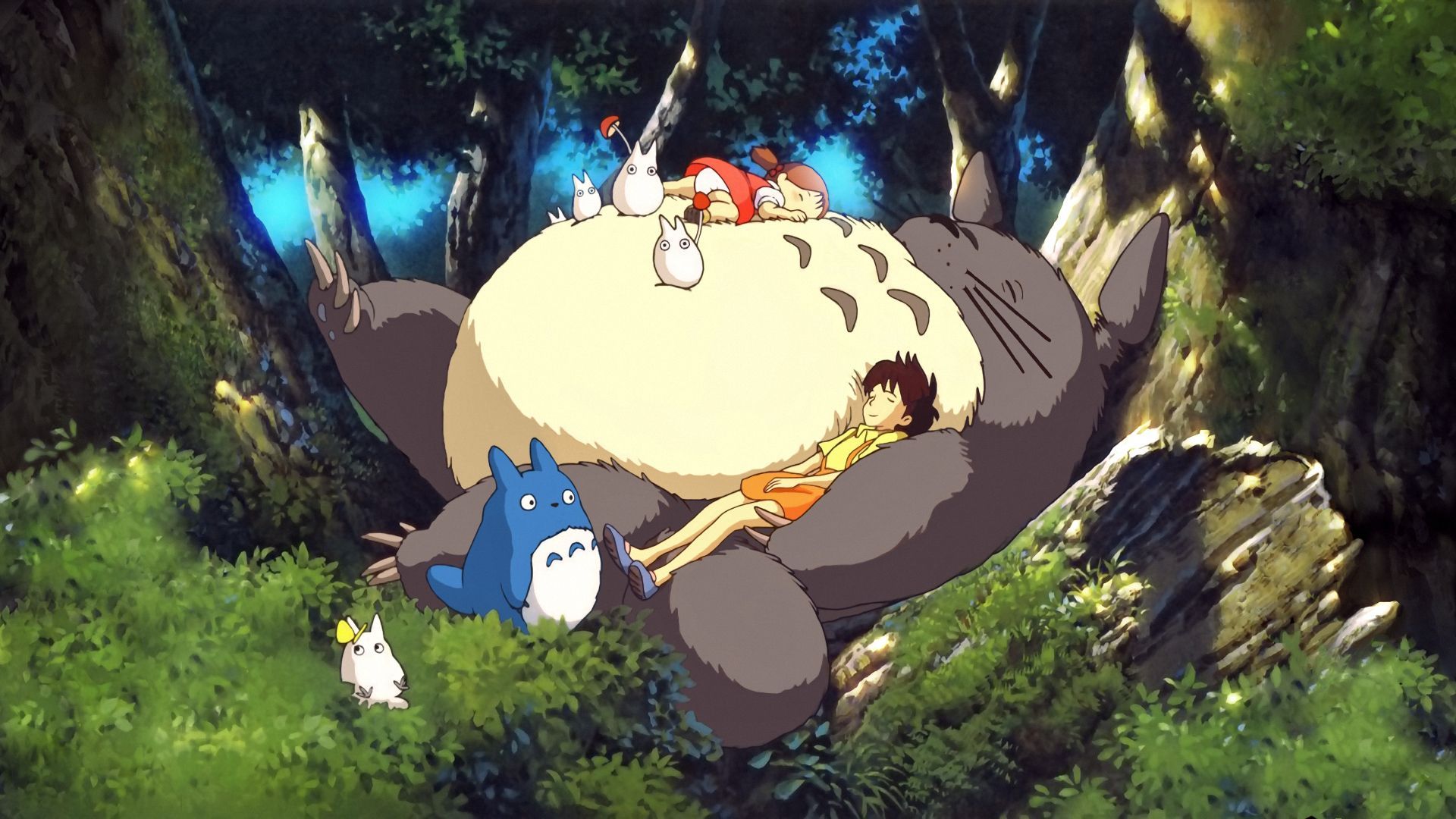 My Neighbor Totoro For Laptop Wallpapers