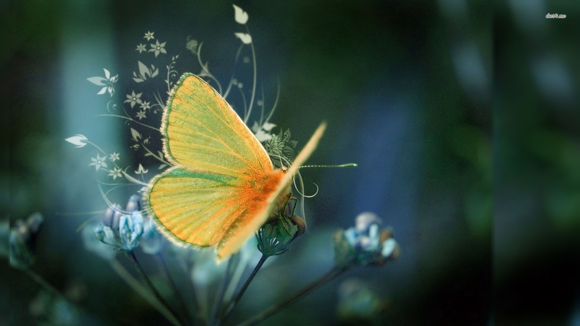 Mystical Butterfly Wallpapers