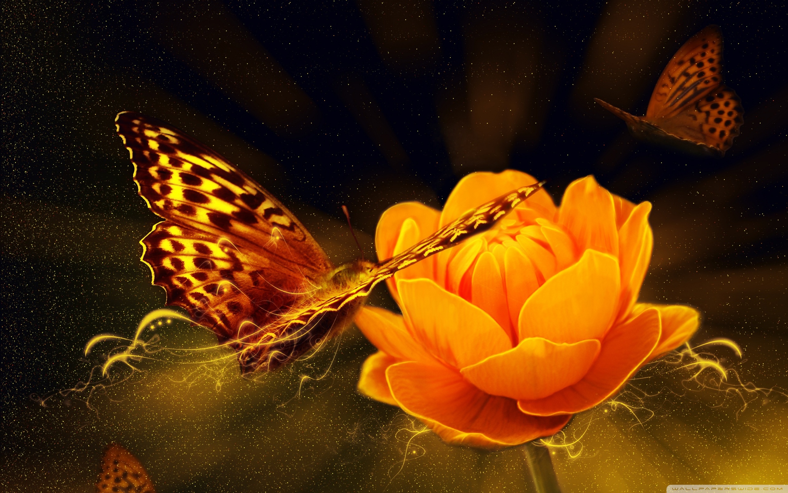 Mystical Butterfly Wallpapers