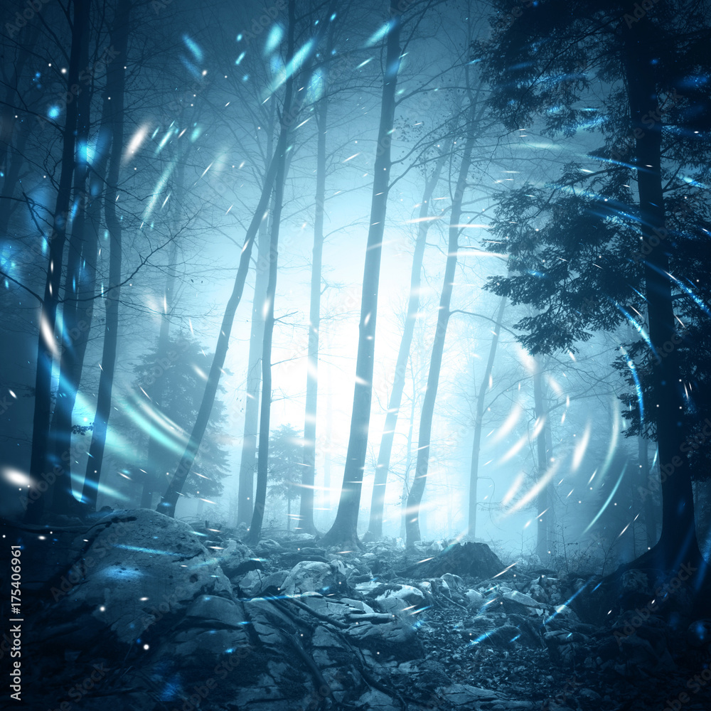 Mystical Foggy Forest Wallpapers