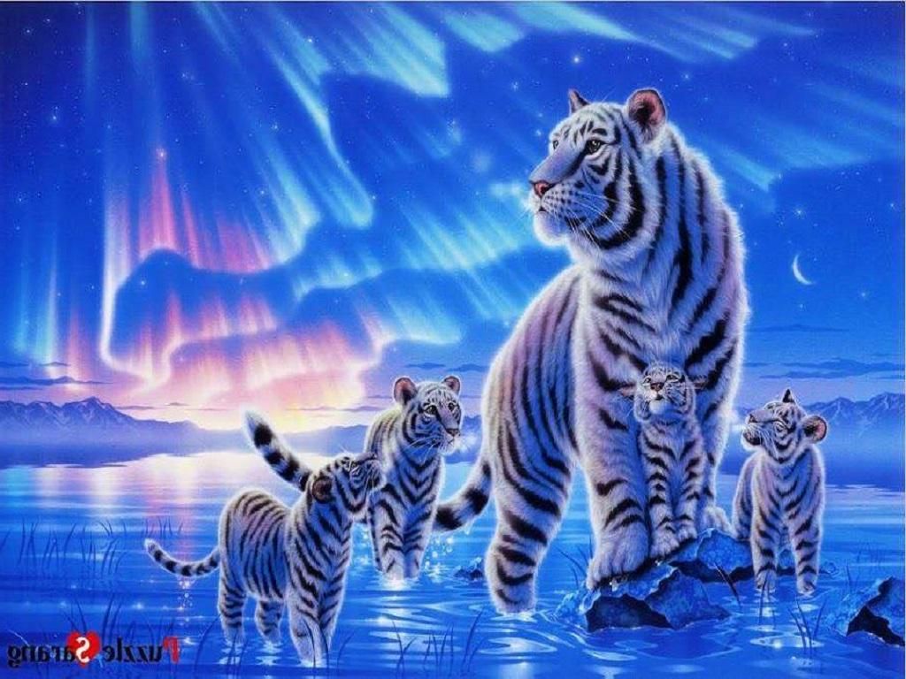 Mystical White Tiger Wallpapers