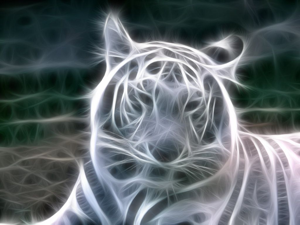 Mystical White Tiger Wallpapers