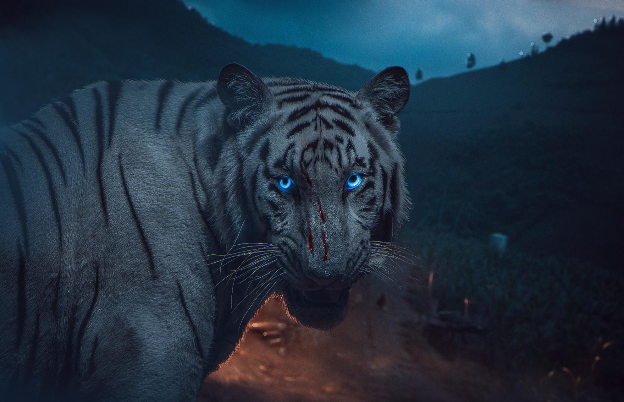 Mystical White Tiger Wallpapers