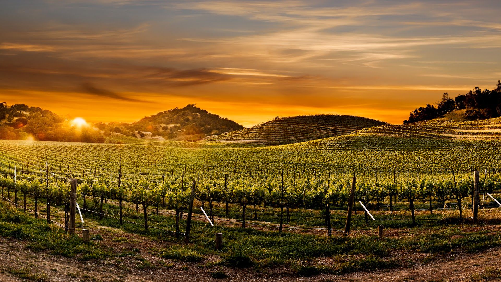 Napa Valley Wallpapers