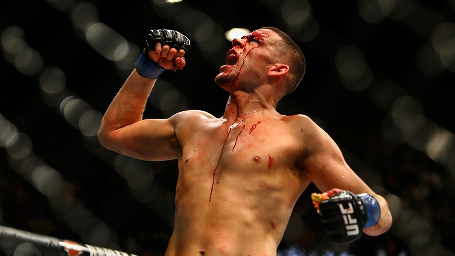 Nate Diaz Wallpapers