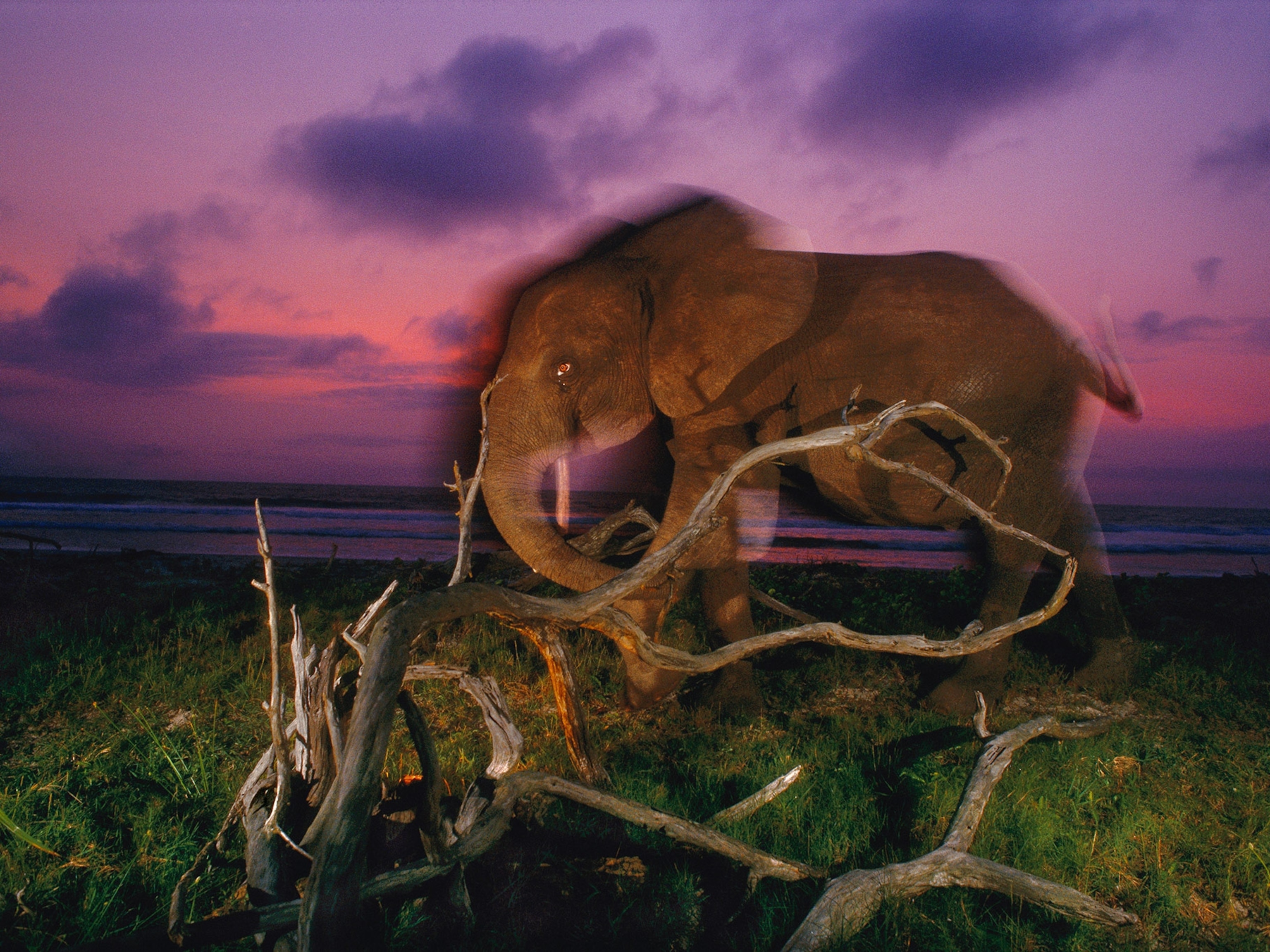 National Geographic Photo Of The Day Wallpapers