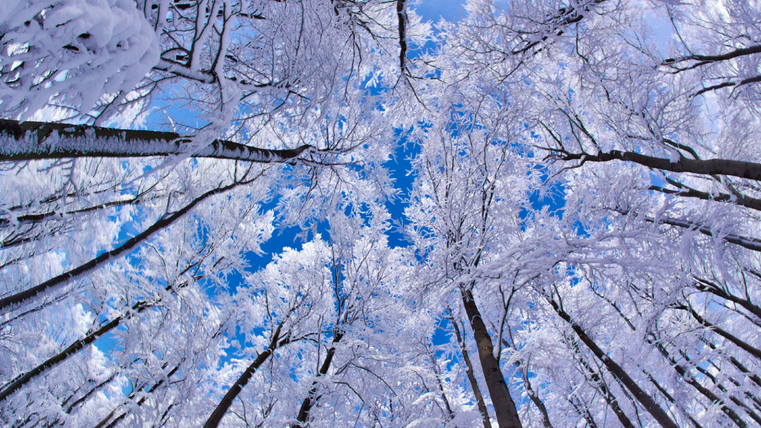 National Geographic Winter Wallpapers