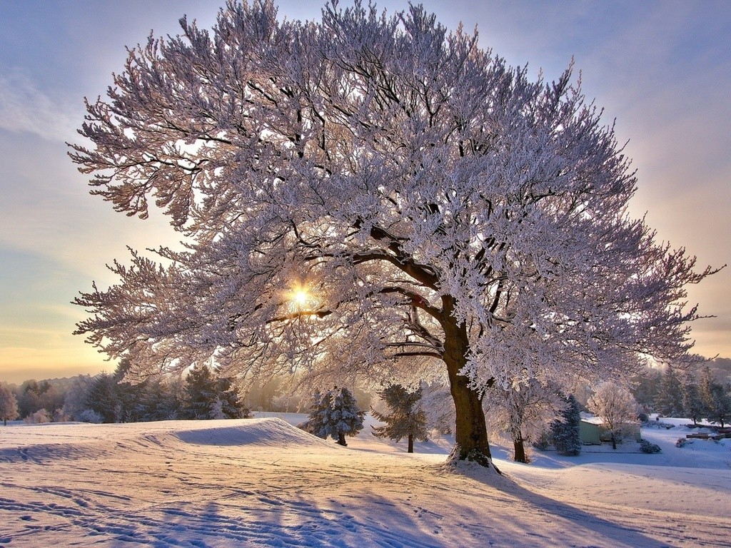 National Geographic Winter Wallpapers