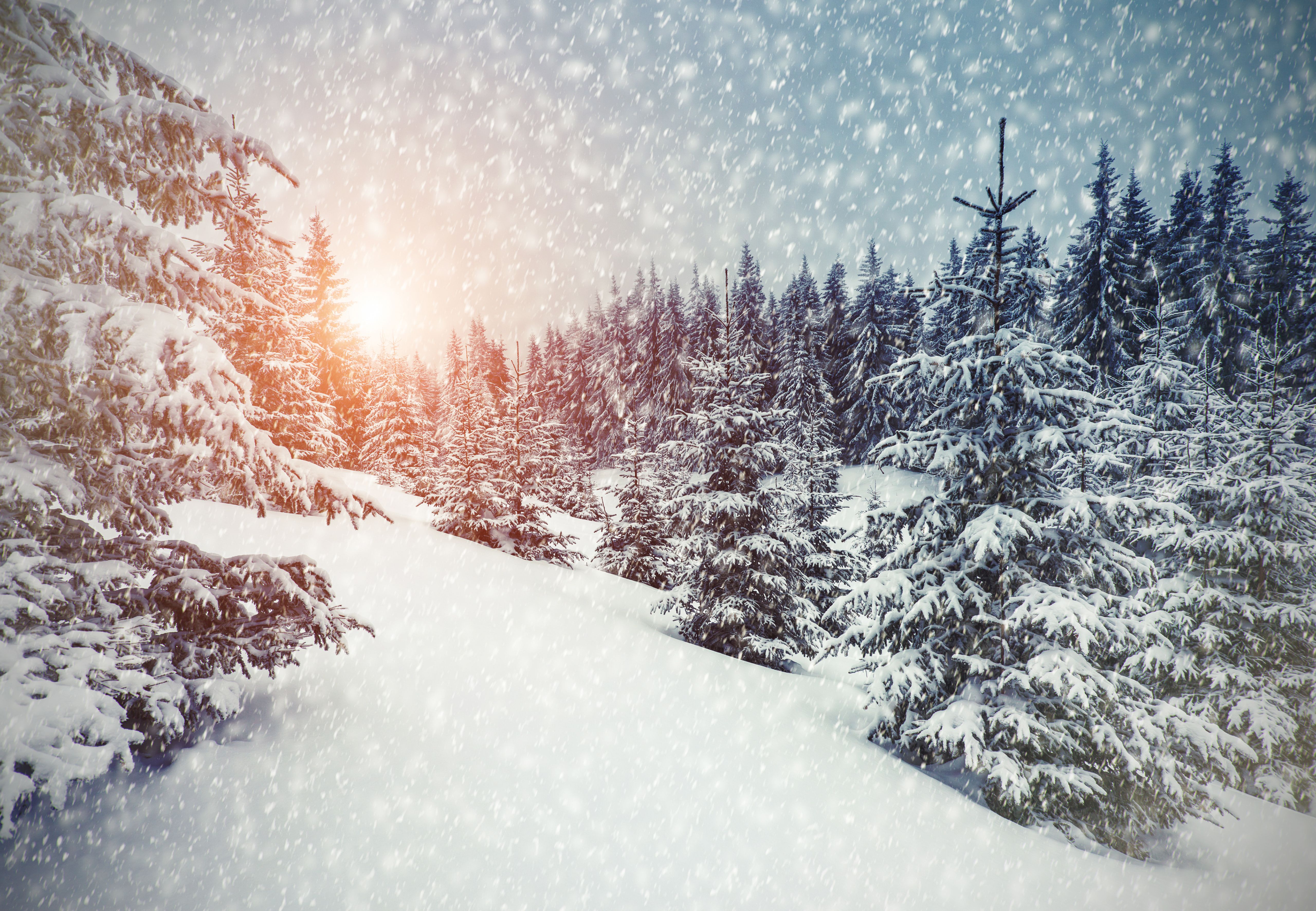 National Geographic Winter Wallpapers