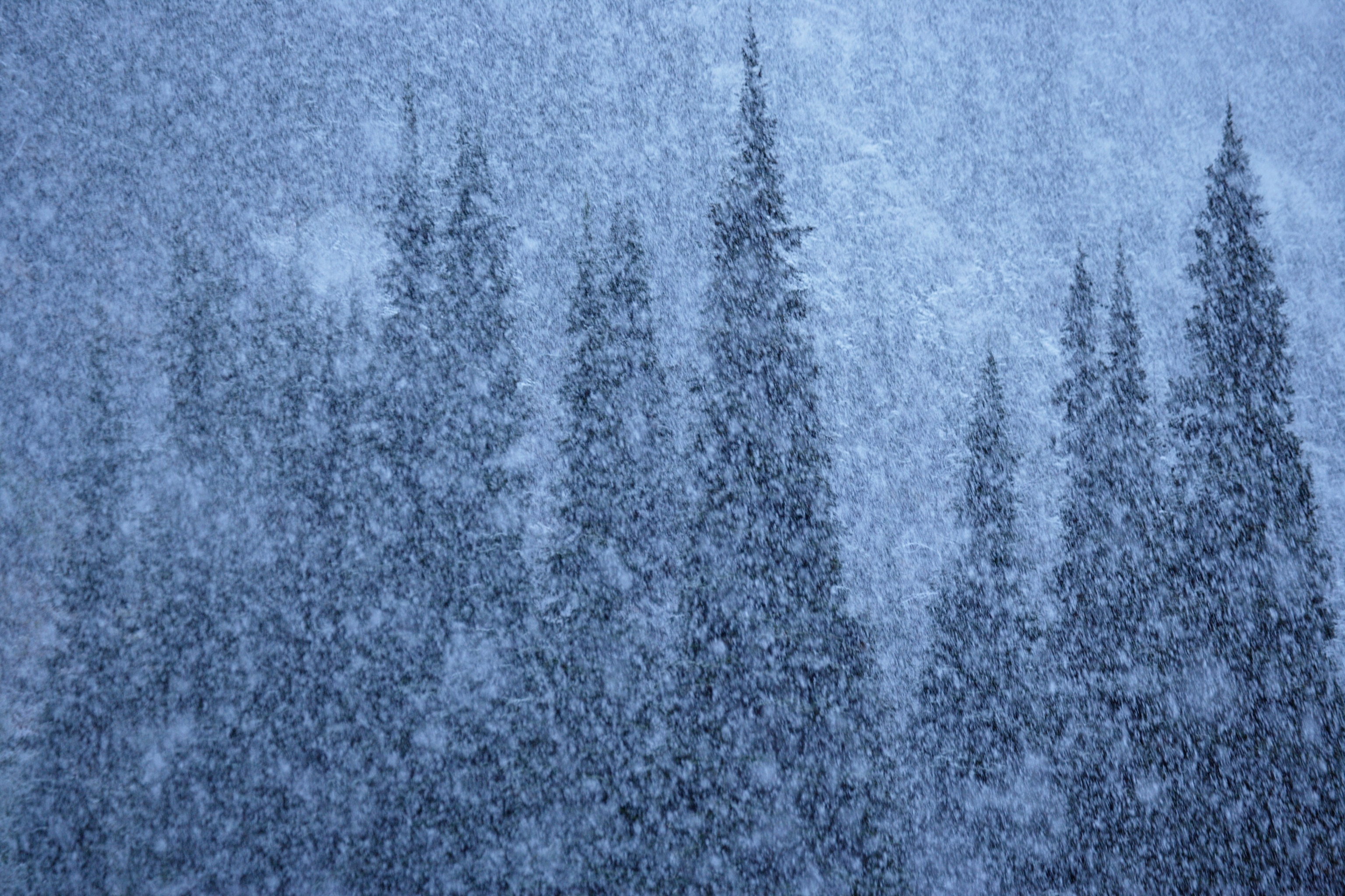 National Geographic Winter Wallpapers