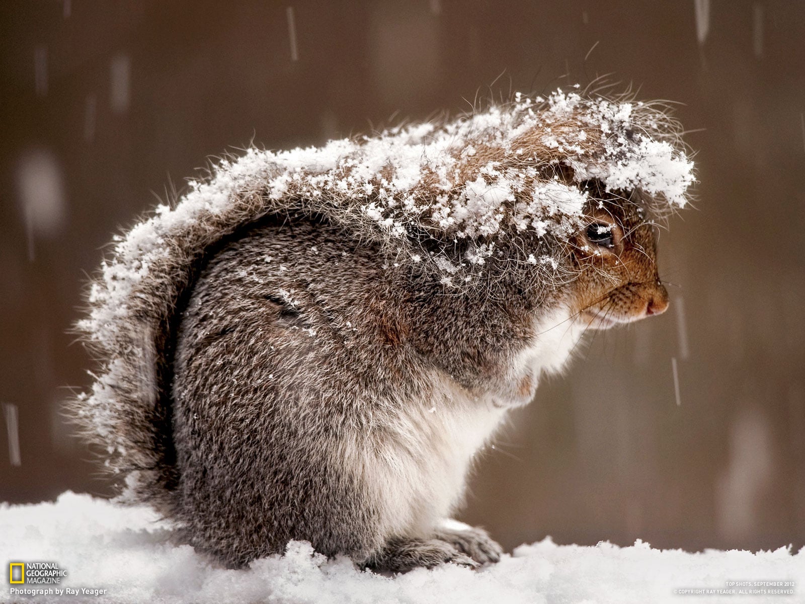 National Geographic Winter Wallpapers