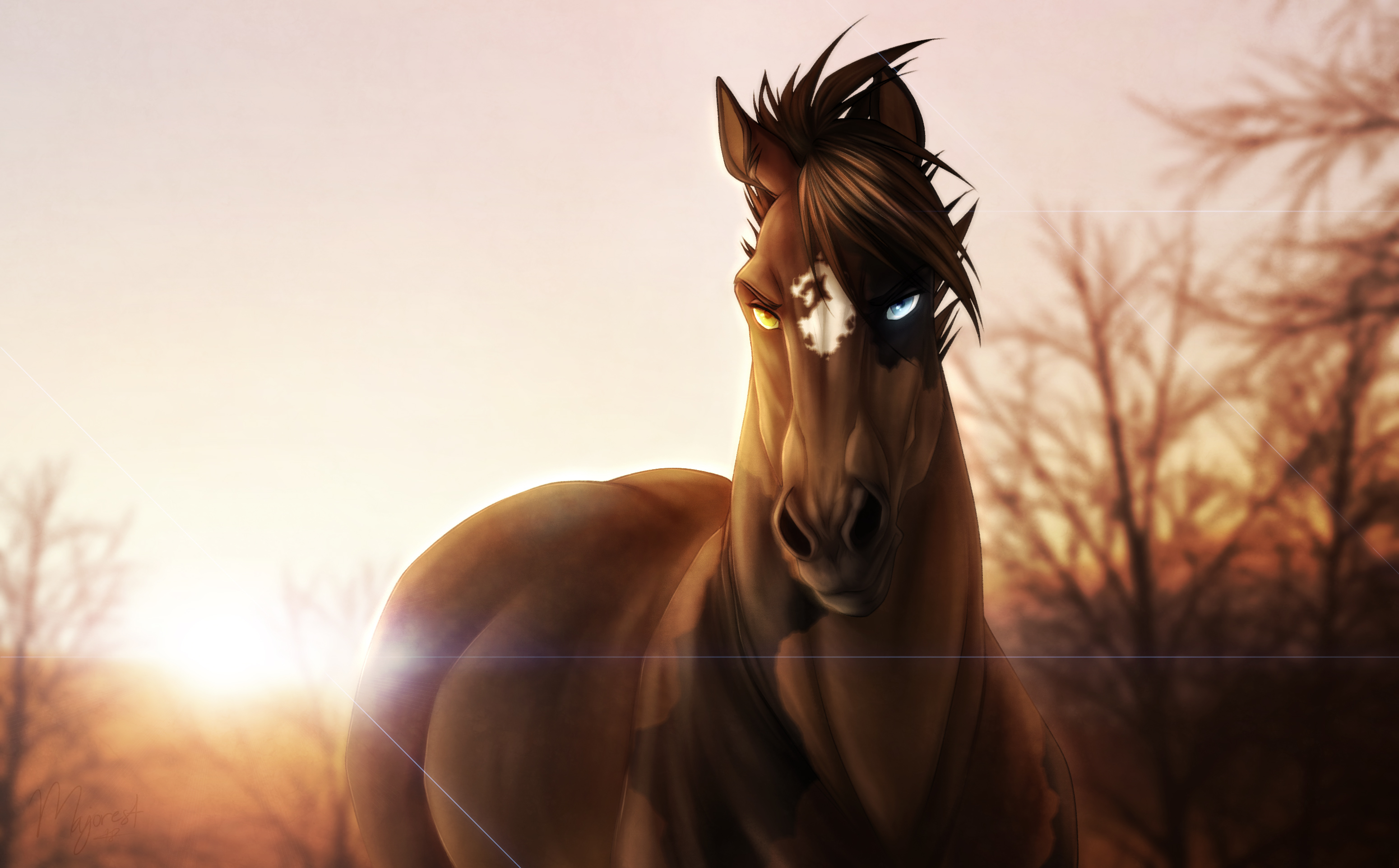 Native American Horse Wallpapers