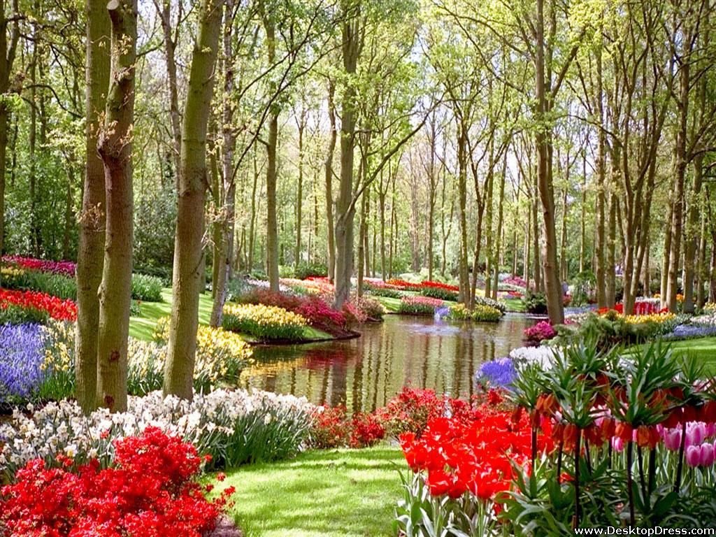 Natural Garden Wallpapers