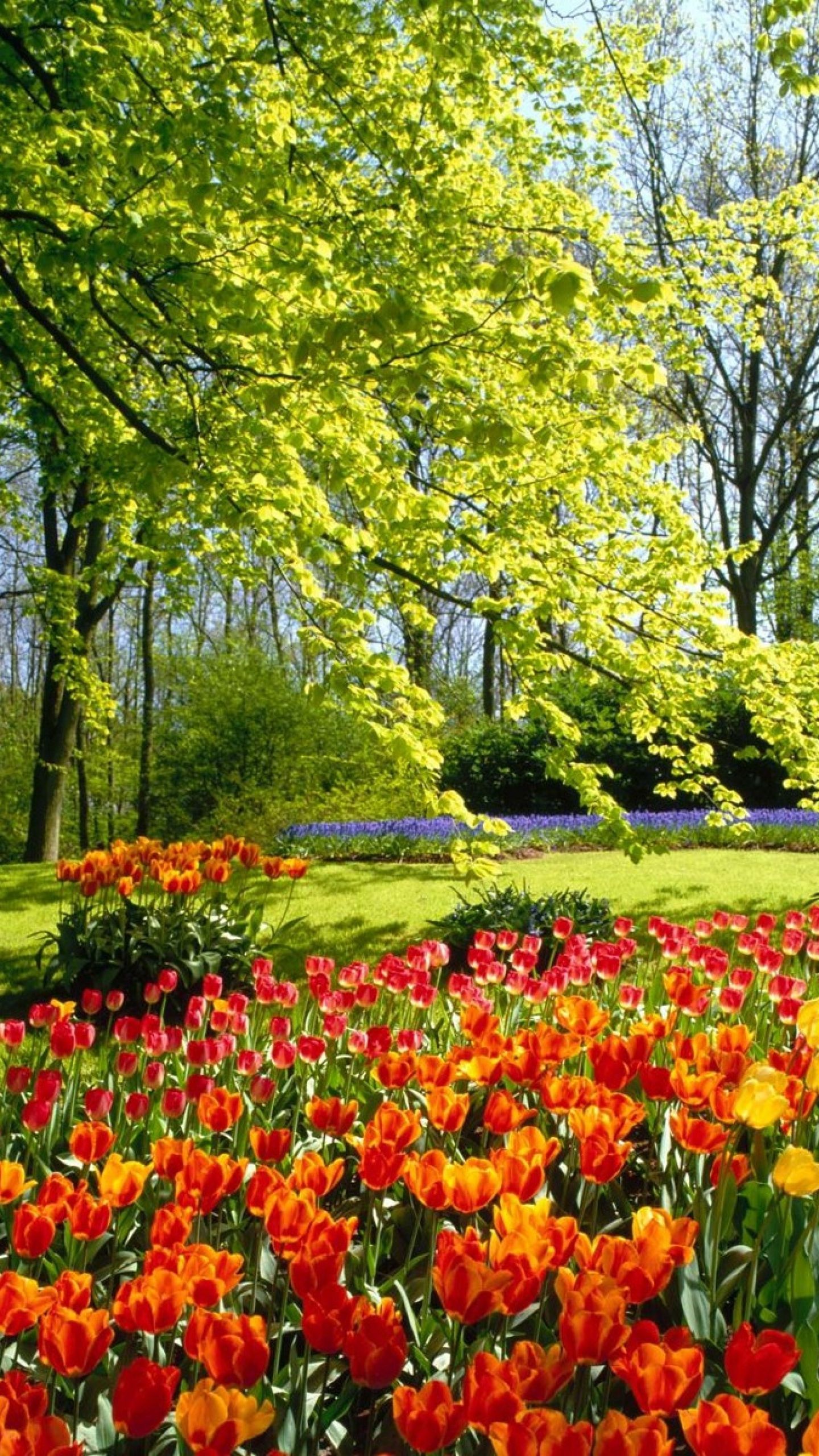 Natural Garden Wallpapers