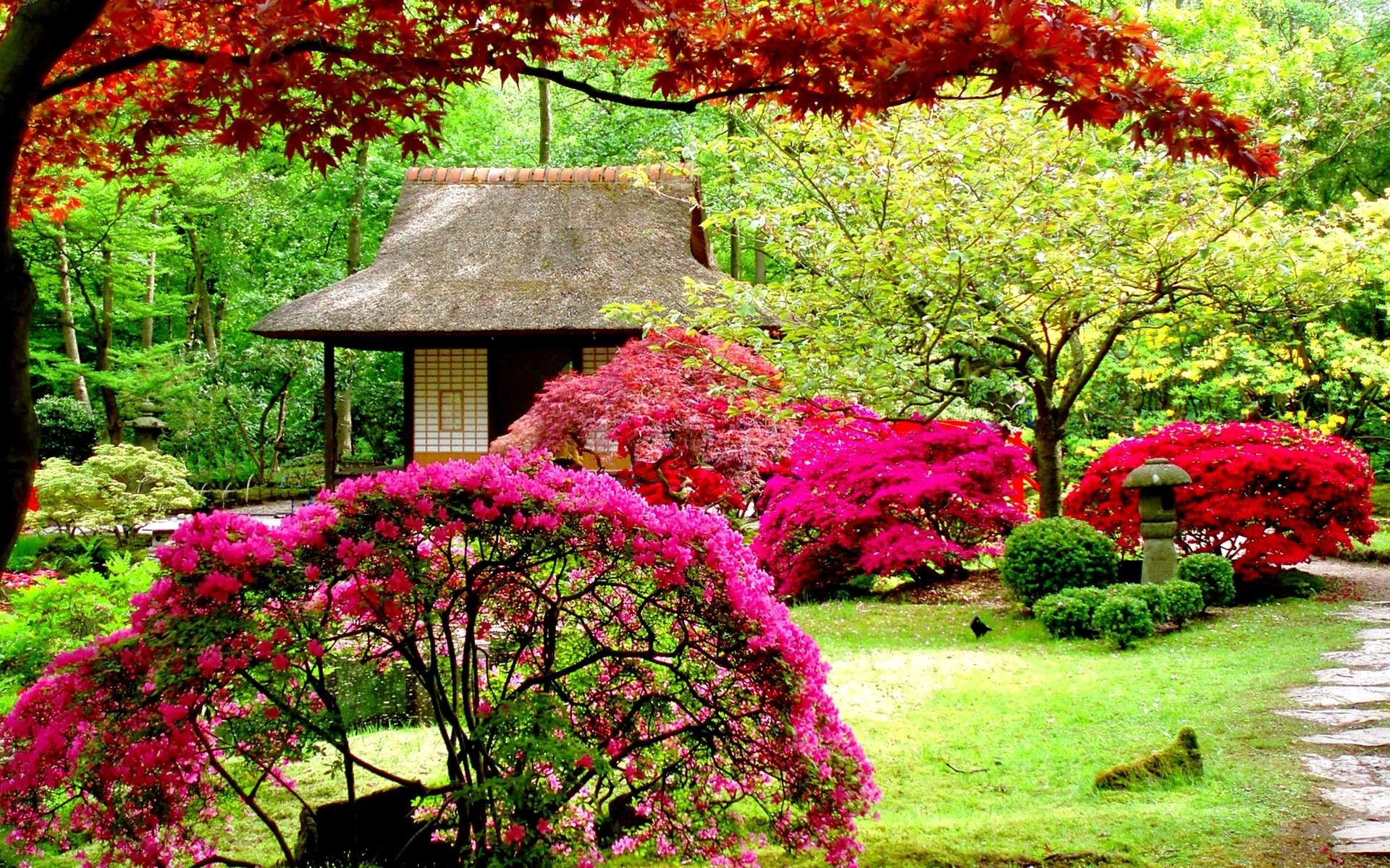 Natural Garden Wallpapers