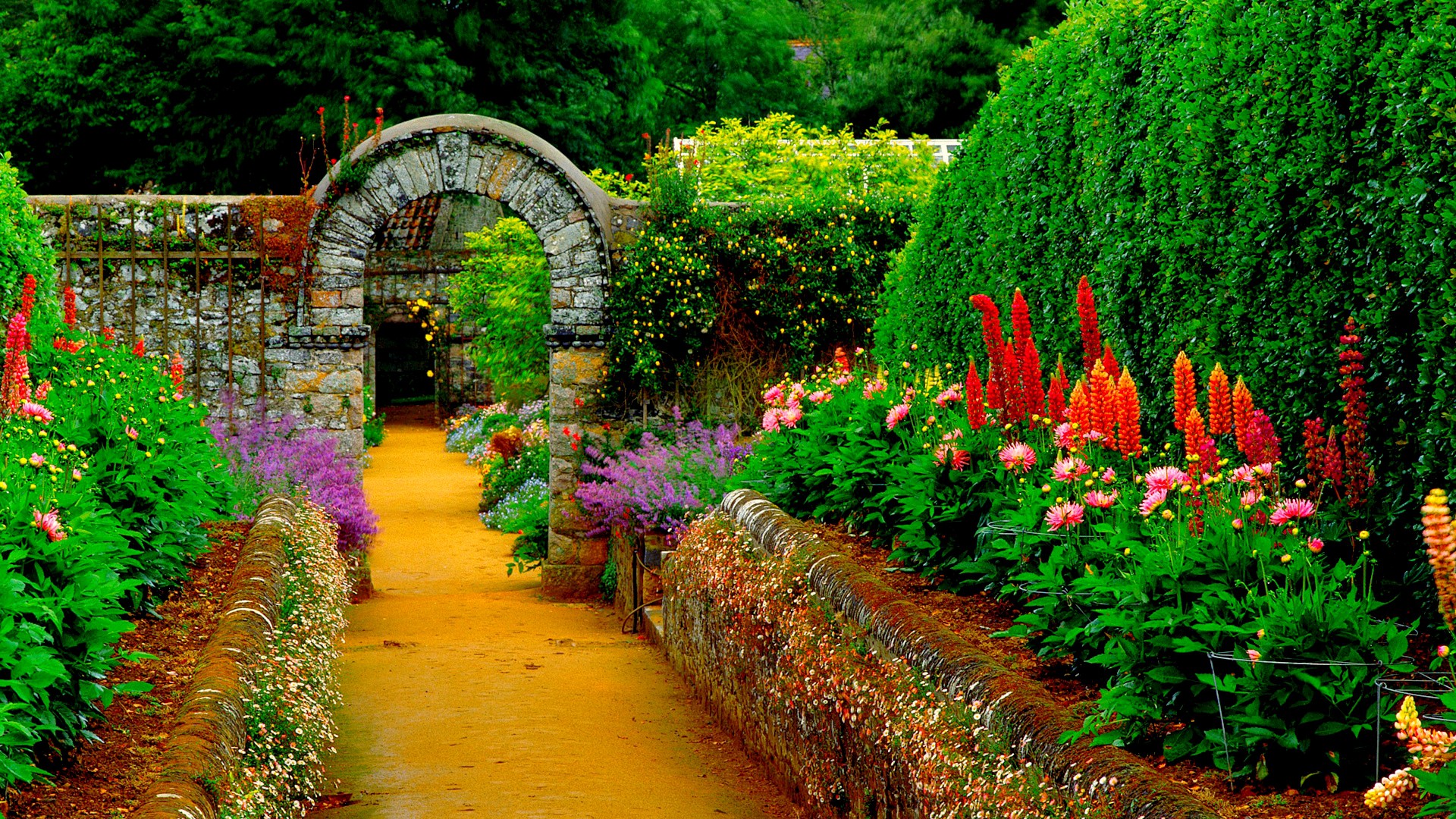 Natural Garden Wallpapers