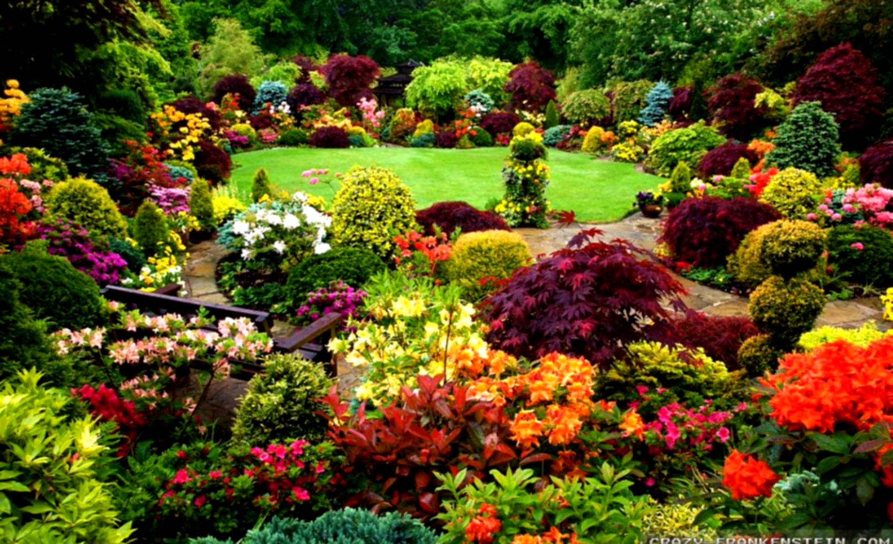 Natural Garden Wallpapers