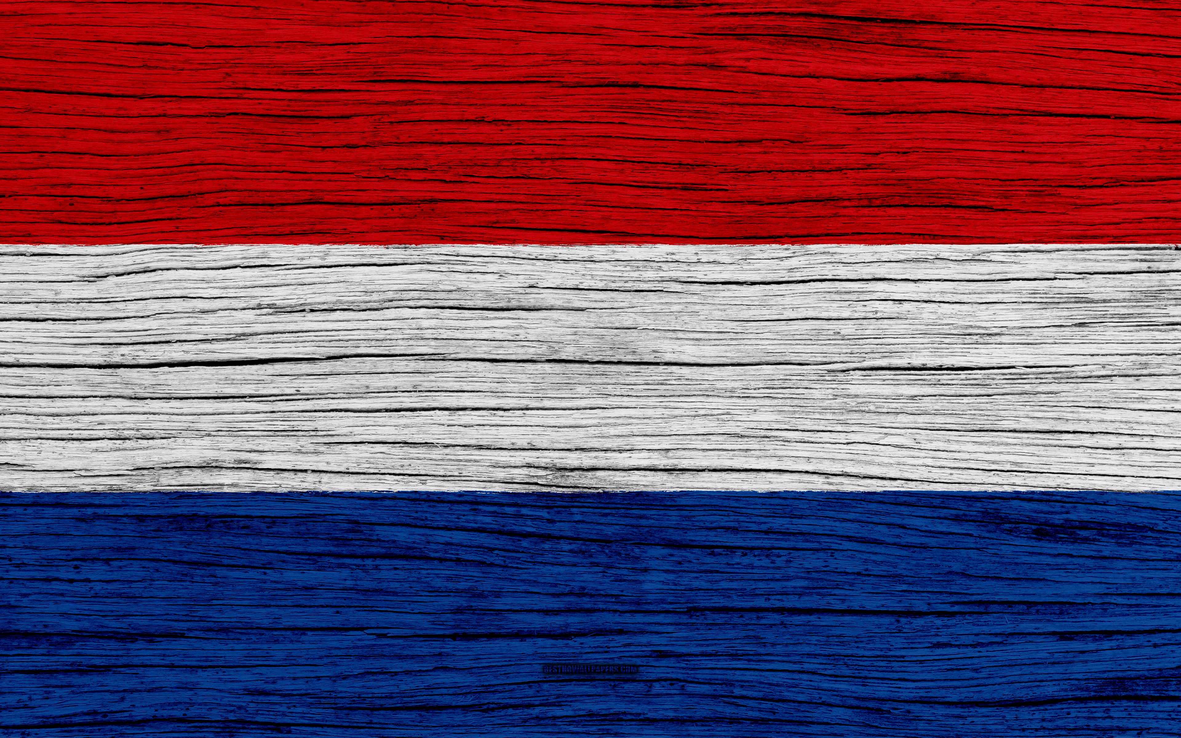 Nederlandse Flag Wallpapers