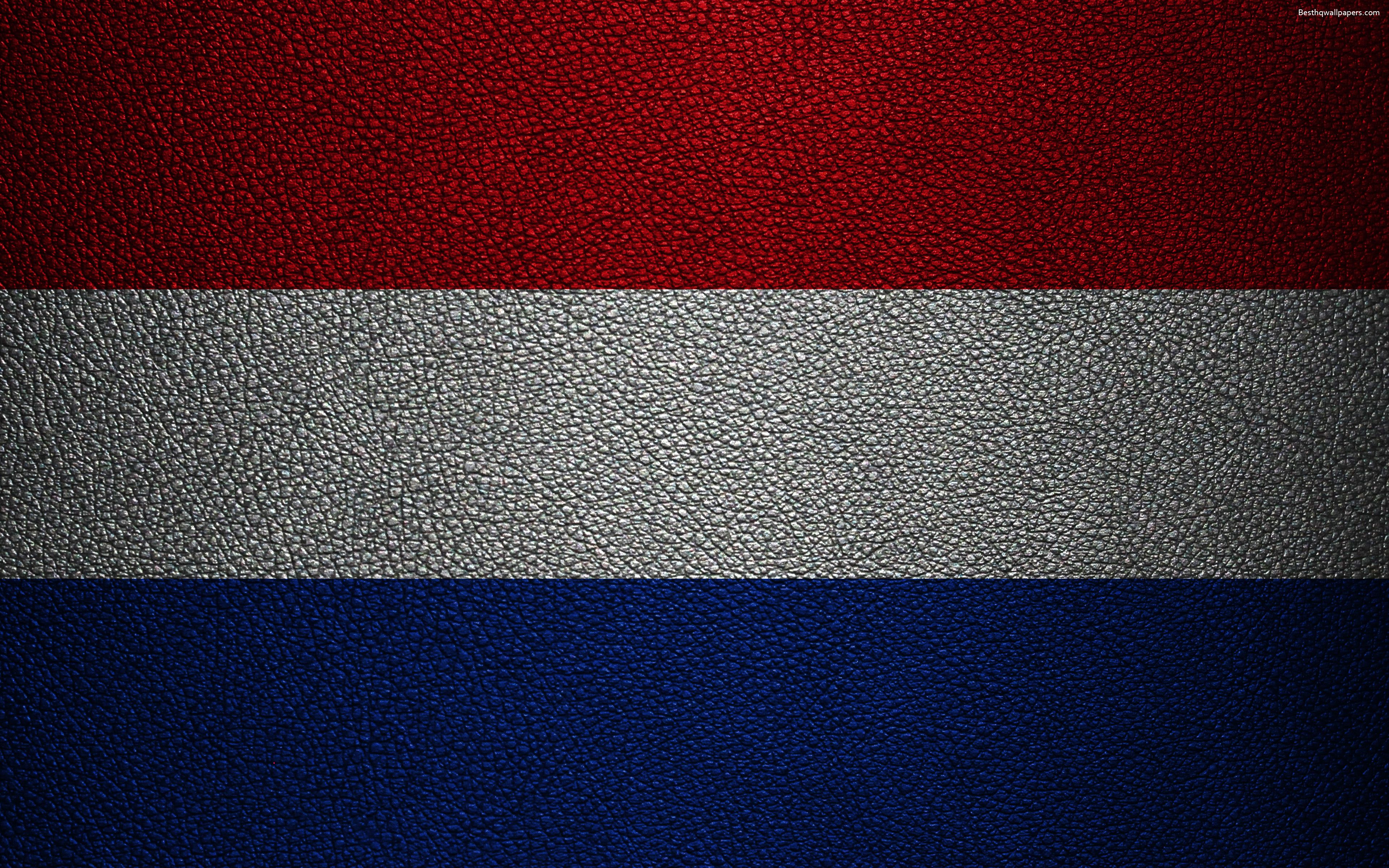 Nederlandse Flag Wallpapers