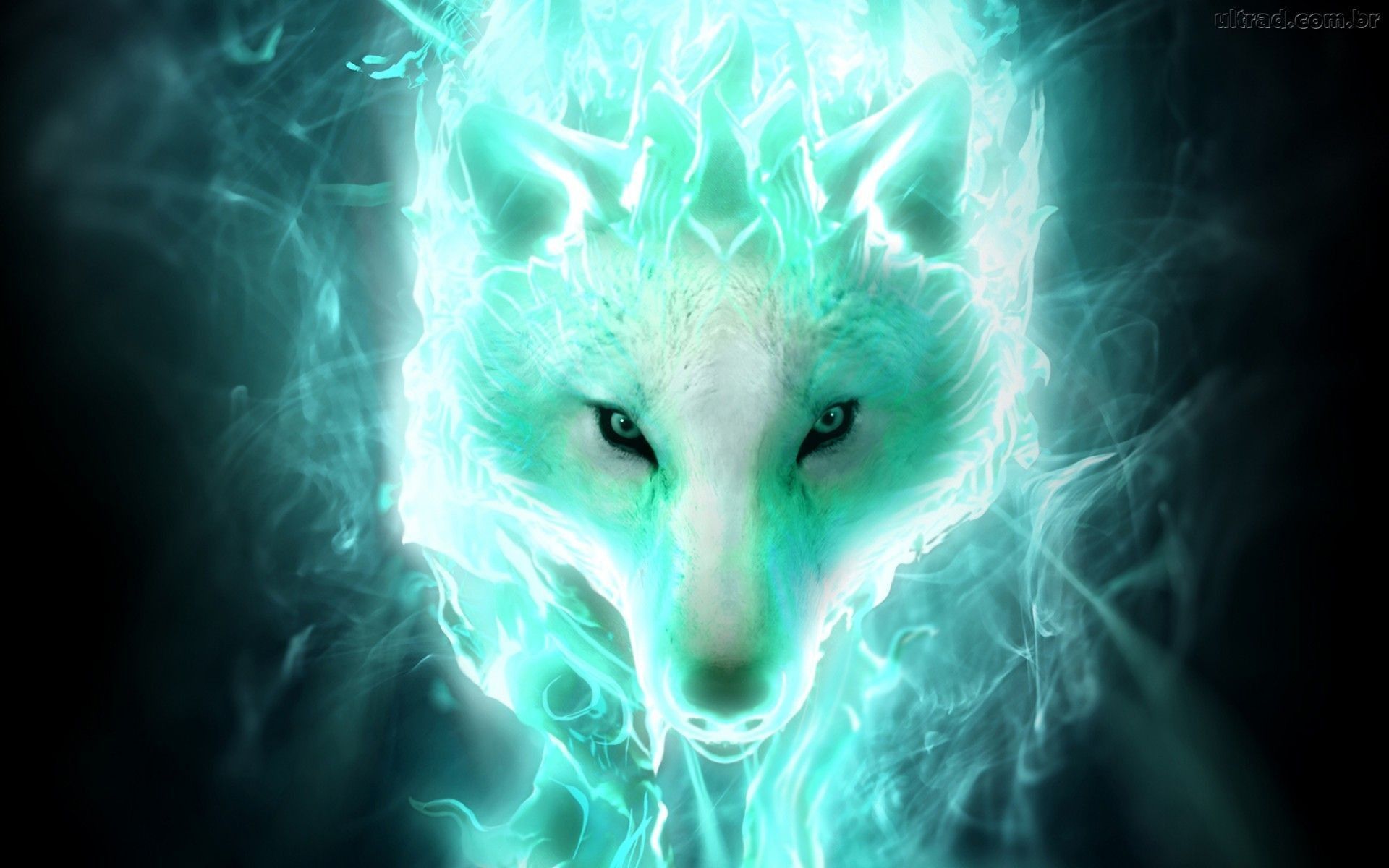 Neon Green Wolf Wallpapers