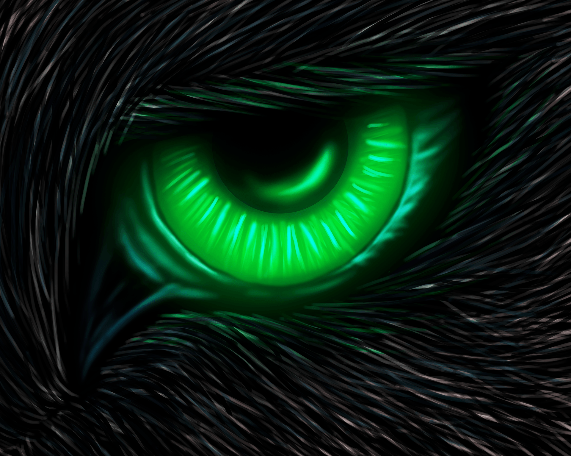 Neon Green Wolf Wallpapers