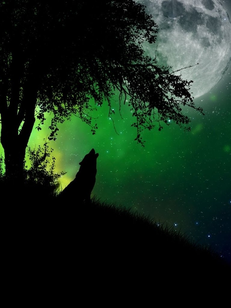 Neon Green Wolf Wallpapers