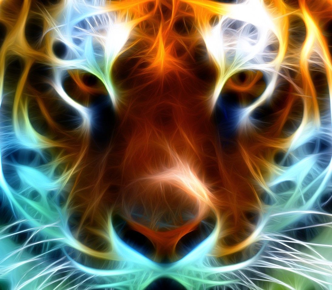 Neon Lights Animals Wallpapers