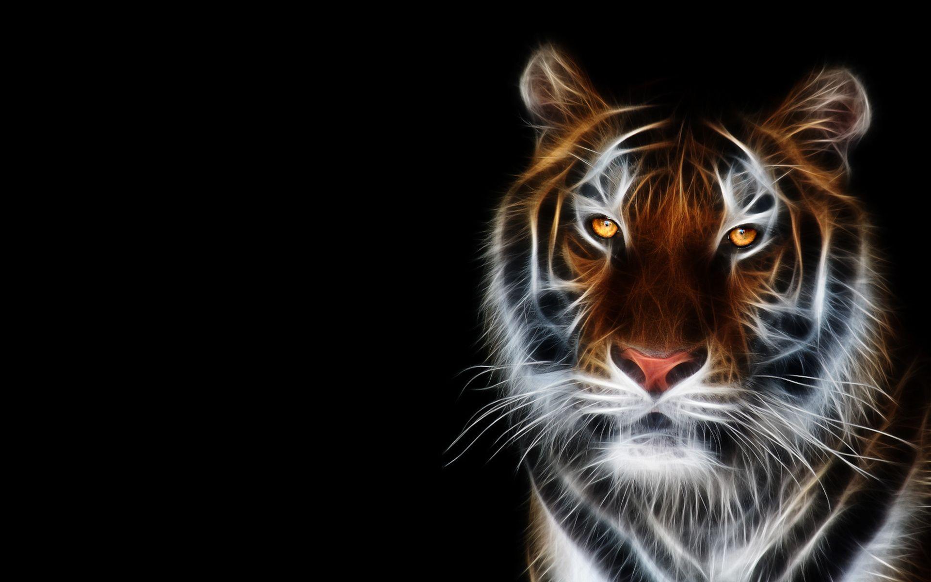 Neon Lights Animals Wallpapers